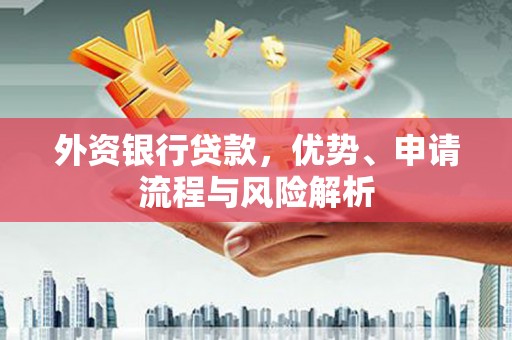 翠屏外资银行贷款，优势、申请流程与风险解析