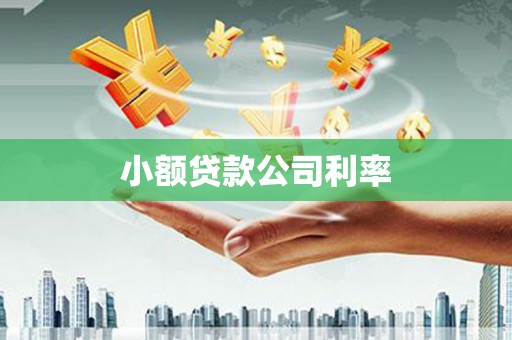 翠屏小额贷款公司利率