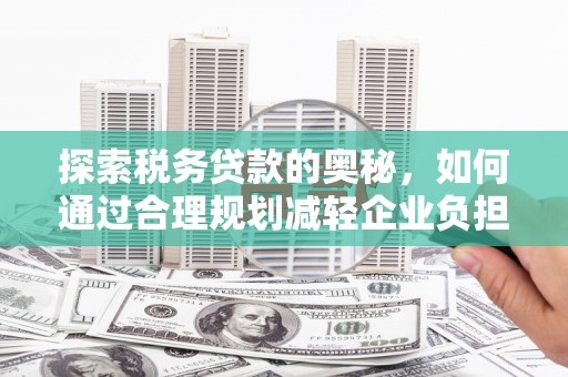 翠屏探索税务贷款的奥秘，如何通过合理规划减轻企业负担