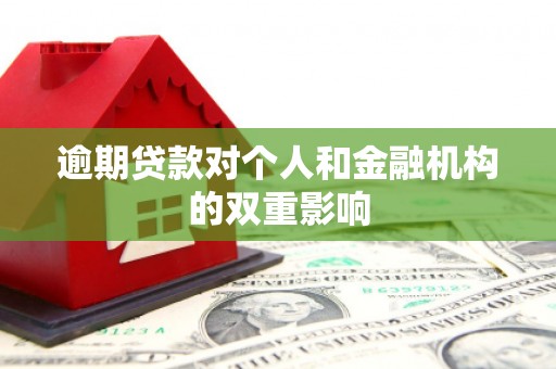 翠屏逾期贷款对个人和金融机构的双重影响