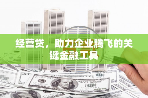 翠屏经营贷，助力企业腾飞的关键金融工具