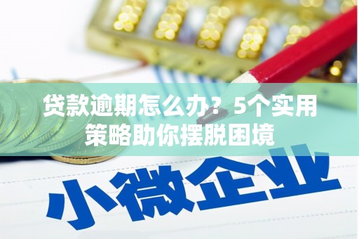 翠屏贷款逾期怎么办？5个实用策略助你摆脱困境