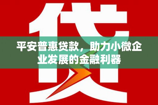 翠屏平安普惠贷款，助力小微企业发展的金融利器