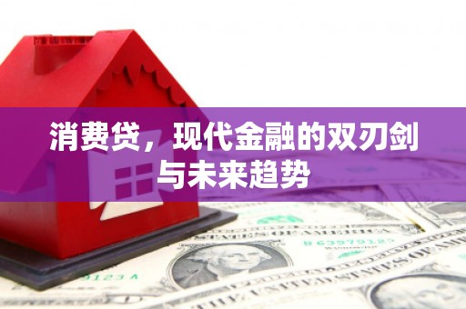 翠屏消费贷，现代金融的双刃剑与未来趋势