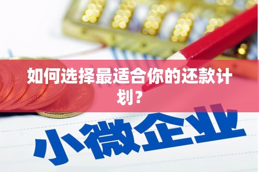 翠屏如何选择最适合你的还款计划？