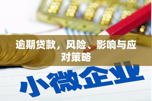 翠屏逾期贷款，风险、影响与应对策略