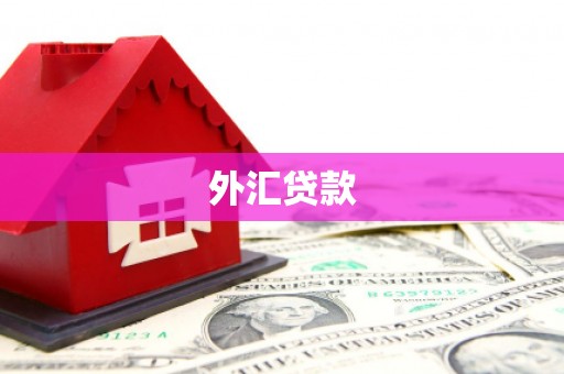 翠屏外汇贷款