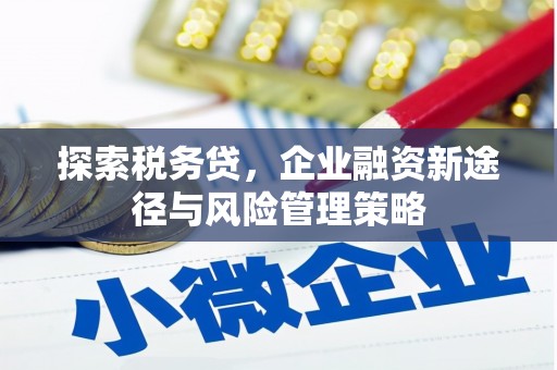 翠屏探索税务贷，企业融资新途径与风险管理策略
