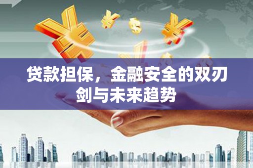 翠屏贷款担保，金融安全的双刃剑与未来趋势