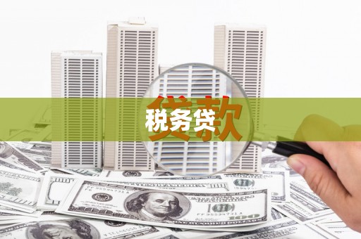 翠屏税务贷