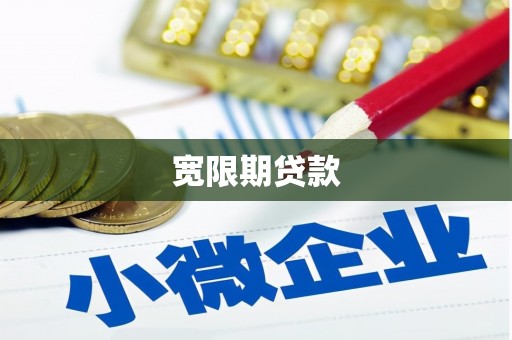翠屏宽限期贷款