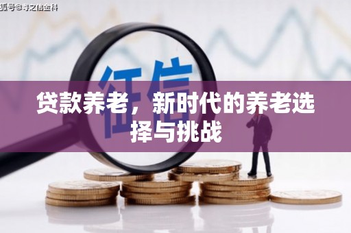 翠屏贷款养老，新时代的养老选择与挑战