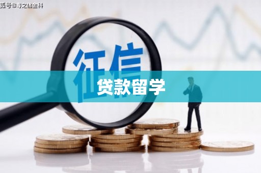 翠屏贷款留学