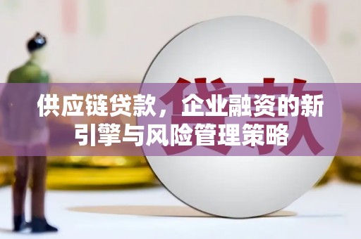 翠屏供应链贷款，企业融资的新引擎与风险管理策略