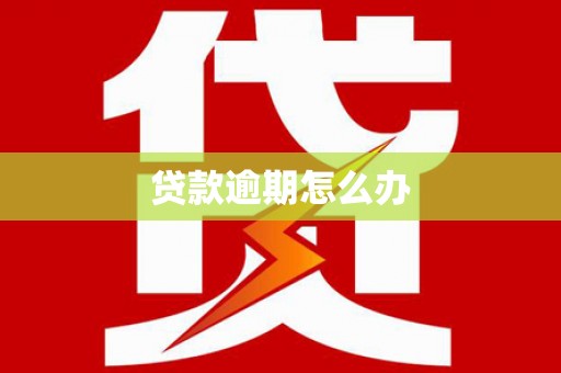 翠屏贷款逾期怎么办