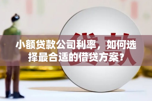 翠屏小额贷款公司利率，如何选择最合适的借贷方案？