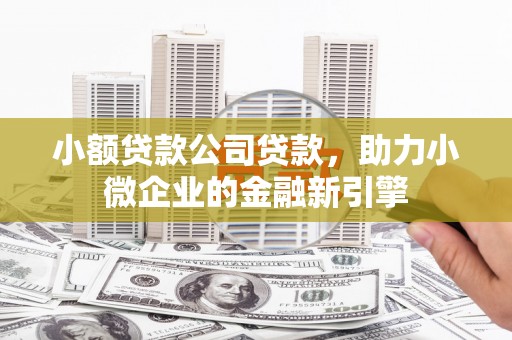翠屏小额贷款公司贷款，助力小微企业的金融新引擎