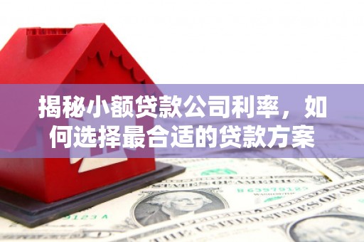 翠屏揭秘小额贷款公司利率，如何选择最合适的贷款方案