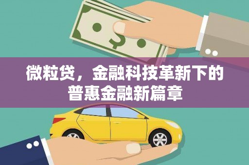 翠屏微粒贷，金融科技革新下的普惠金融新篇章
