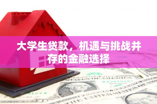 翠屏大学生贷款，机遇与挑战并存的金融选择