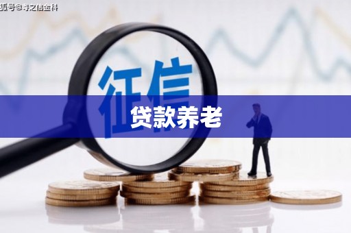 翠屏贷款养老