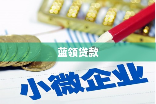 翠屏蓝领贷款