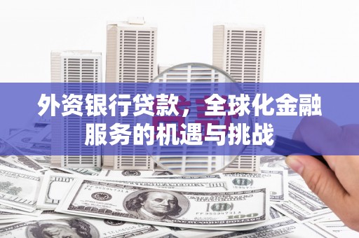 翠屏外资银行贷款，全球化金融服务的机遇与挑战